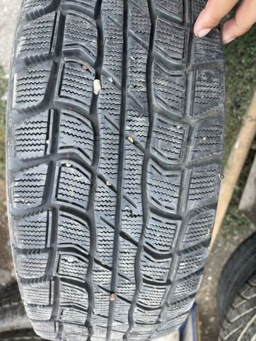 зимные шины r15: Шины 205 / 60 / R 15, Зима, Б/у, 1 шт, Легковые, Dunlop