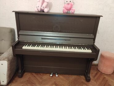 rostov don piano: Rostov Don pianina