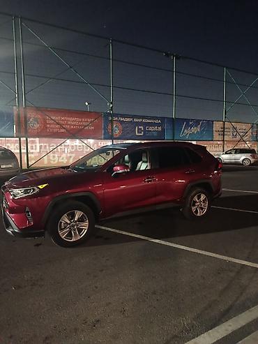 Toyota: Toyota RAV4: 2019 г., 2.5 л, Автомат, Гибрид, Кроссовер — 2