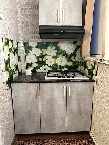 Кухонные гарнитуры: Кухонный гарнитур — 5