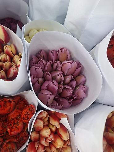 Букеты из живых цветов: Г.Ош оптом и розницу. Тюльпаны с луковицами, срезка «на поле» в — 5