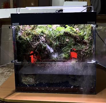 Akvarium aksesuar və ləvazimatları: Terrarium/Vivarium dekorativ sistem – duman generatoru və LED — 2