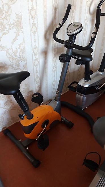 Спорт и хобби: Velotrenajor veloxizek — 1