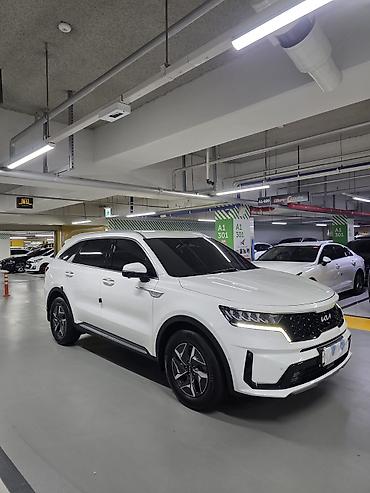 2022: Kia Sorento: 2022 г., Гибрид, Кроссовер — 2
