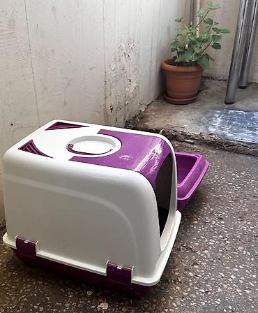 pisik ucun qum qabi: Pişik üçün iki hissəli tualet dəsti - Rəng: bənövşəyi-ağ - Komplekt — 2