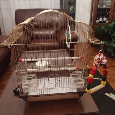 kavez za ptice: Zlatni kavez za papagaje,dimenzije: sirina 44,visina 48.Dobro