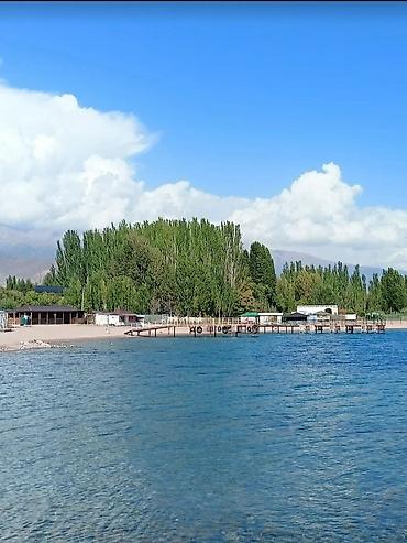 винсовхоз токмок: 5 соток — 7