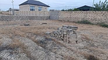 saray torpag: 6000 sot, Tikinti, Bələdiyyə — 4