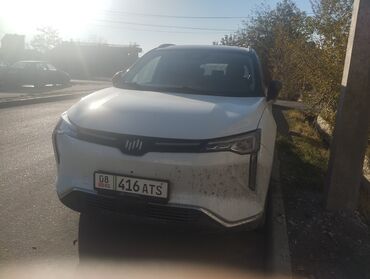 цена домкрата для легкового автомобиля: Weltmeister W6, 2022 г., 80000 км, Передний, В наличии