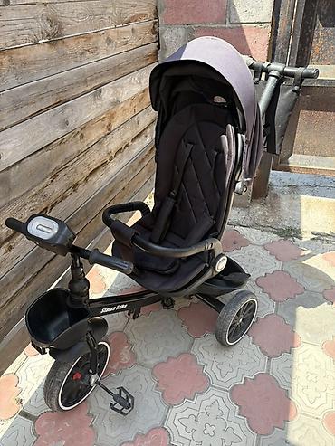 trike: Детский трехколесный велосипед–коляска Startos Trike (черный) — 1