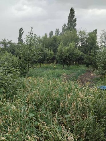 панельные дома частные цена: Дом, 1 м², 5 комнат, Собственник, Косметический ремонт