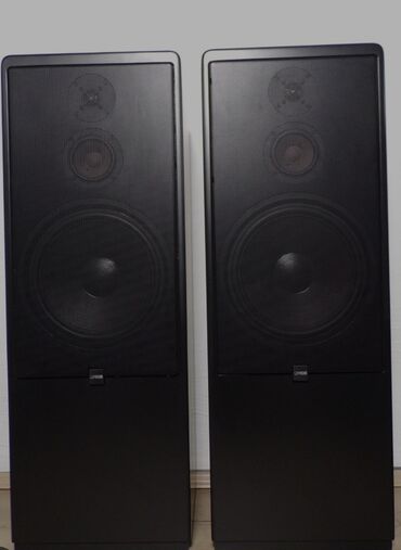 акустические системы dynaudio с сабвуфером: Canton CT 2000. Мощная напольная акустика. Made In Germany. Продаётся