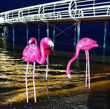 Продажа коттеджей и домов: Продается коттедж на Иссык-Куле в селе Чок-Тал в центре отдыха Palm — 14