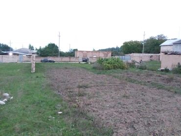 Qaşıqlar: 10 sot, Tikinti, Mülkiyyətçi, Kupça (Çıxarış), Bələdiyyə