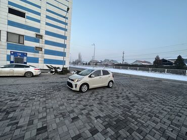 Kia: Kia Picanto: 2019 г., 1 л, Автомат, Бензин, Хэтчбэк — 3