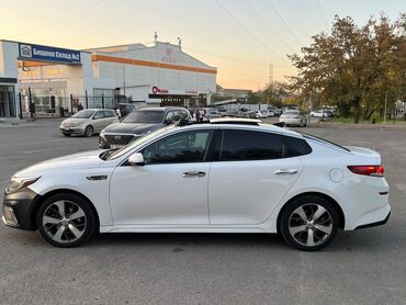 я ищу машину: Kia Optima: 2018 г., 2.4 л, Автомат, Бензин, Седан