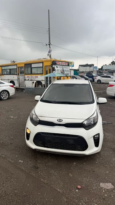 рассрочка авто без банка бишкек: Kia Morning: 2019 г., 0.1 - engine capacity л, Бензин, Хетчбек