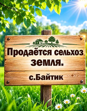 село арчалы: 4 соток, Для бизнеса — 1