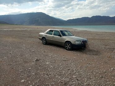 пасат б3 1993: Mercedes-Benz W124: 1993 г., 2.2 л, Механика, Бензин