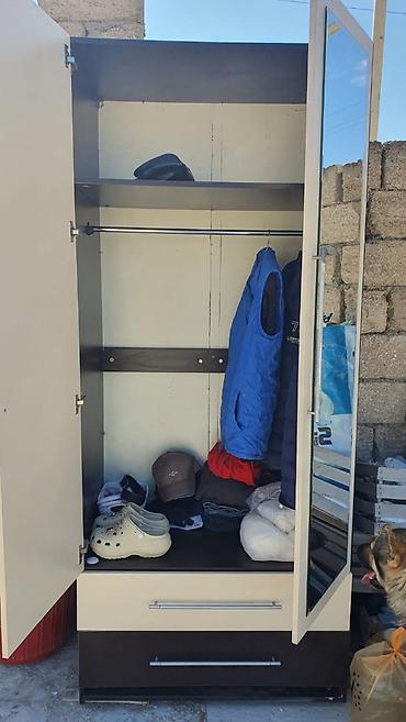 Mebel: İşlənmiş, 2 qapılı, Açılan, Düz dolab — 2