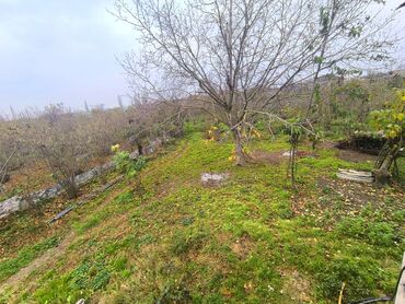 Həyət evləri və villaların satışı: 8 otaq, 100 kv. m, Kredit yoxdur, Təmirsiz — 14