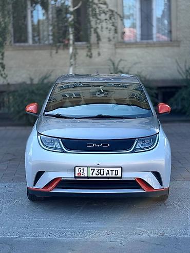 толка оптом: BYD Dolphin: 2022 г., Электромобиль, Хэтчбэк — 2