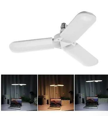 peperomia cvece: LED Sijalica u Obliku Ventilatora Dobro došli u Davidov shop online — 1