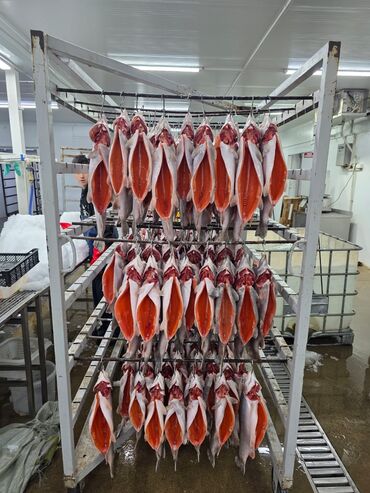 Рыба и морепродукты: Замороженный, До 1 кг, Самовывоз, Бесплатная доставка, Платная доставка at lalafo.kg — 3 Рыба и морепродукты: Замороженный, До 1 кг, Самовывоз, Бесплатная доставка, Платная доставка — 3