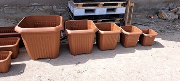 CD, DVD disklər və kassetlər: Dibcek qabi dibcek qablari gul qabi gul qablari bag ucun dibcek — 12