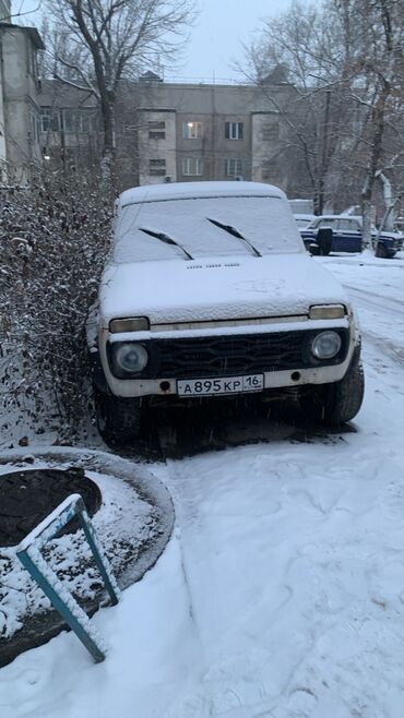 ВАЗ (ЛАДА): ВАЗ (ЛАДА) 4x4 Нива: 1995 г., 1.5 л, Механика, Бензин, Внедорожник