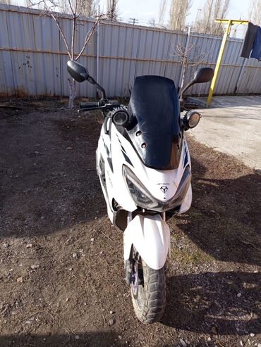Скутеры: Продажа и Ремонт скуторов. скутор м8 150 кубов. заводится но надо — 1