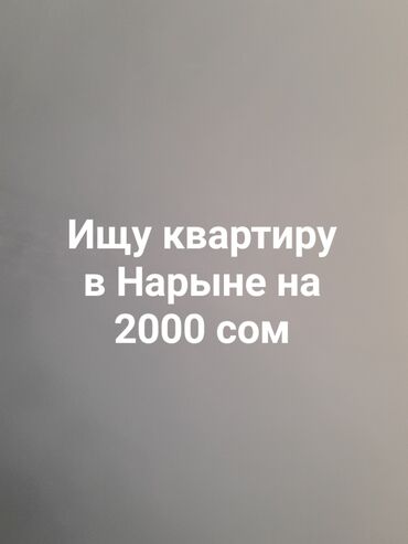 сдаю квартиру империал: 1 комната, Риэлтор, С подселением, С мебелью частично