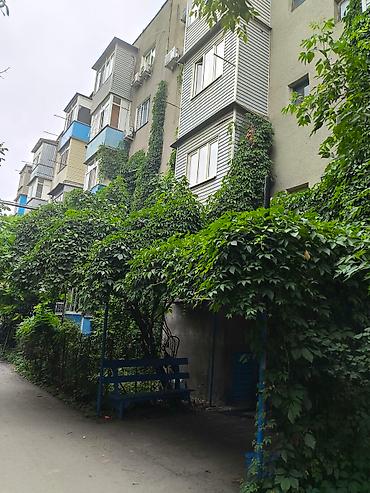 корона дом: 3 комнаты, 56 м², Индивидуалка, 5 этаж, Старый ремонт — 10