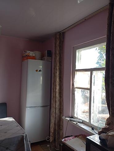 Другие удобства для дома и сада: Другие удобства для дома и сада — 9