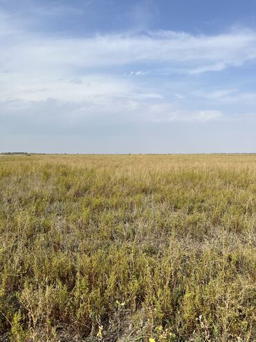 село: 12 соток, Для сельского хозяйства, Договор дарения