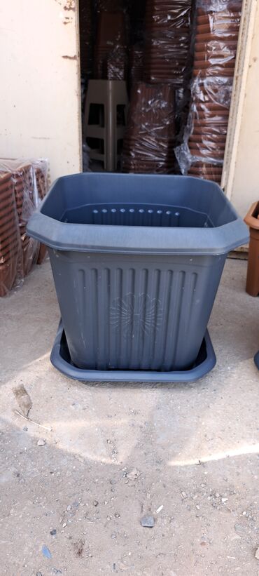 CD, DVD disklər və kassetlər: Dibcek qabi dibcek qablari gul qabi gul qablari bag ucun dibcek — 4