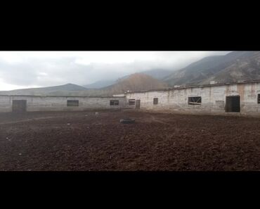 Сельхоз предприятия: Продаётся кашара Иссык-Кульский район село Ананьево. Общая территория at lalafo.kg — 4 Сельхоз предприятия: Продаётся кашара Иссык-Кульский район село Ананьево. Общая территория — 4