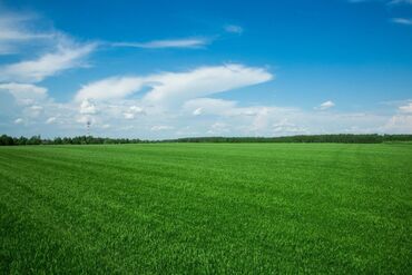 продаю участок рабочий городок: 600 соток, Айыл чарба үчүн, Техпаспорт