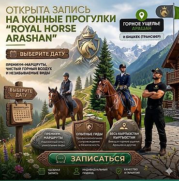конный: Конные прогулки “Royal Horse Arashan” - Локации: горное ущелье Арашан — 1