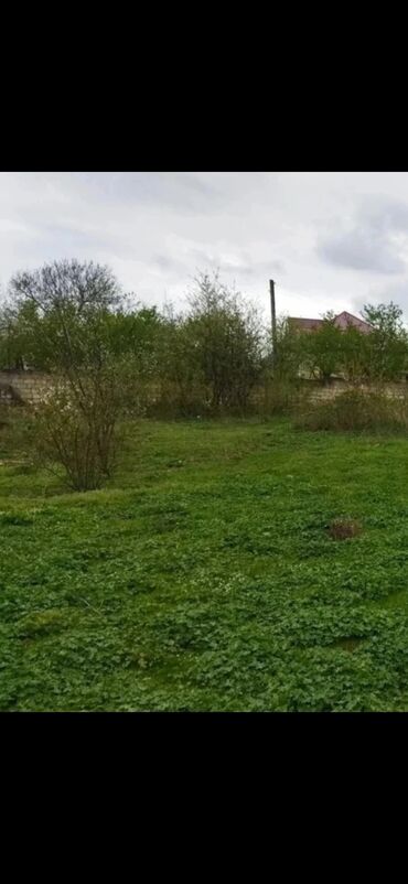 Torpaq sahələrinin satışı: 12 sot, Tikinti, Mülkiyyətçi, Kupça (Çıxarış)