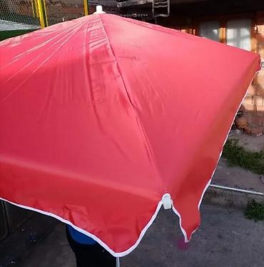 sadnice jagode: SUNCOBRAN 250X200 CM NOV OGROMAN ZA BASTU PLAZU DVORISTE TOP | Cene — 3