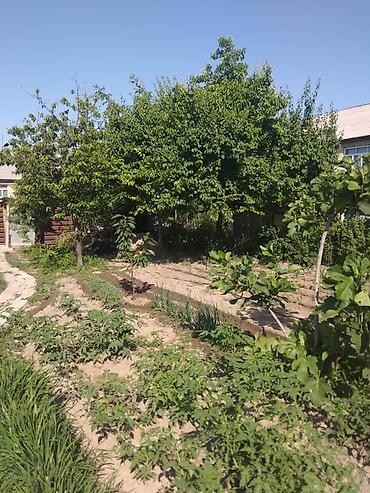 Продажа коттеджей и домов: 🏡 Продаётся просторный дом на 5–7 комнат в Таш-Кумыре Таш-Көмүр — 8