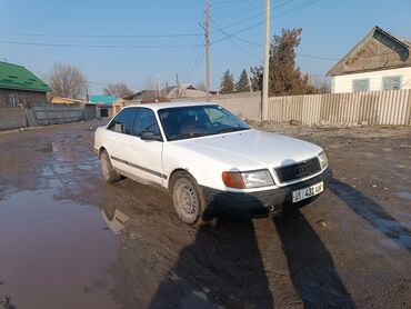 Audi: Audi 100: 1991 г., 2 л, Механика, Газ, Седан