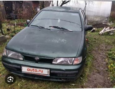 ниссан примера автомат: Nissan Almera: 1997 г., 1.6 л, Механика, Бензин, Седан