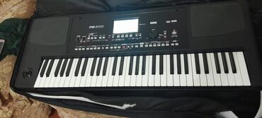 Maqnitofonlar: KORG PA 300 işlək vəziyyətdədir