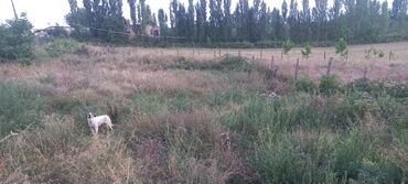 Torpaq sahələrinin satışı: Kənd təsərrüfatı, Mülkiyyətçi — 32