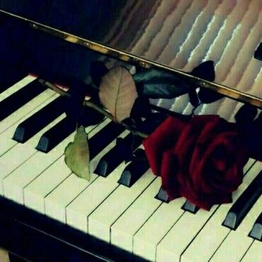 Avto xidmətlər: Piano və solfecio dərsləri - Qısa müddətdə pianoda ifa etməyi