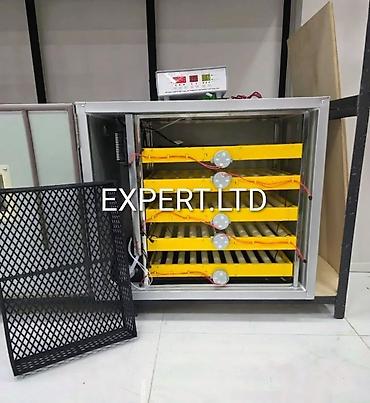 Kənd təssərüfatı avadanlığı: Çin, Tam avtomat, Bütün növ quşlar üçün, Zəmanət ilə — 4