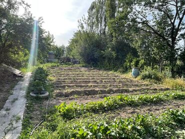 Продажа домов: Дом, 100 м², 8 комнат, Собственник, ПСО (под самоотделку) at lalafo.kg — 7 Продажа домов: Дом, 100 м², 8 комнат, Собственник, ПСО (под самоотделку) — 7