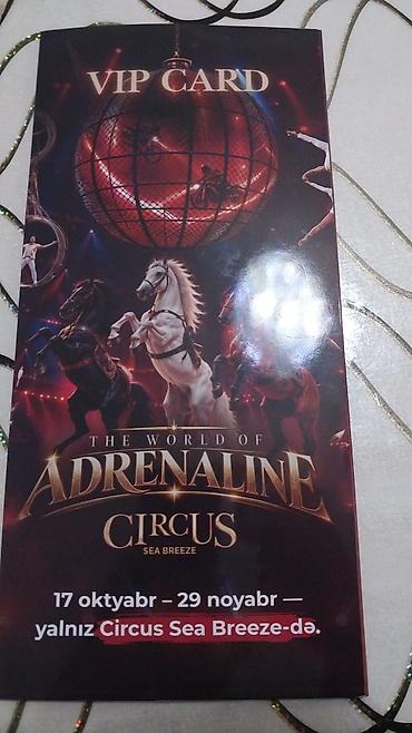 Аниматоры: Məhsul: The World of Adrenaline – Circus Sea Breeze VIP Card və şou — 1